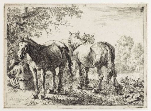 Three horses and a farmer
