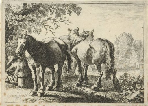 Three horses and a farmer