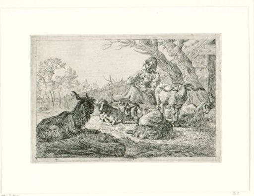Shepherdess among goats and sheep