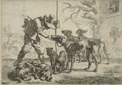 Hunter with seven dogs
