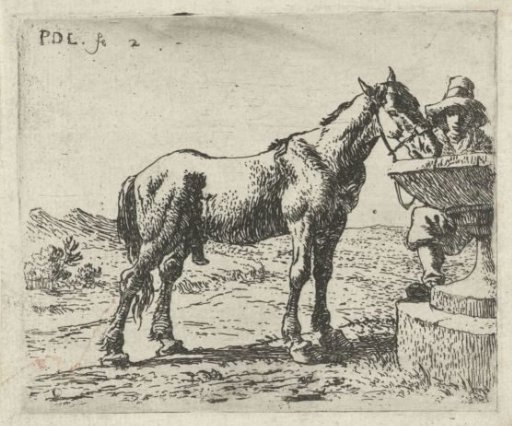 Drinking horse