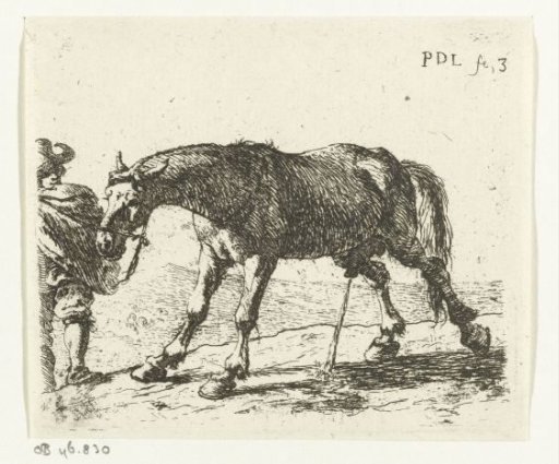 Urinating horse