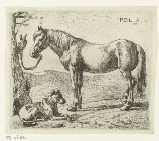 Horse and dog in a meadow