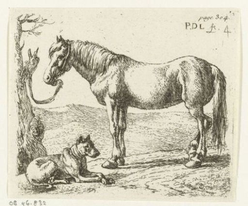 Horse and dog in a meadow