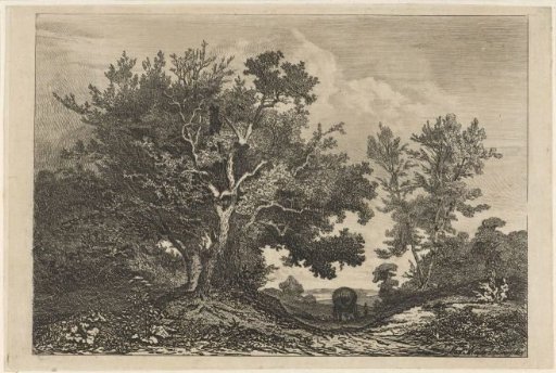 Country road between two groups of trees