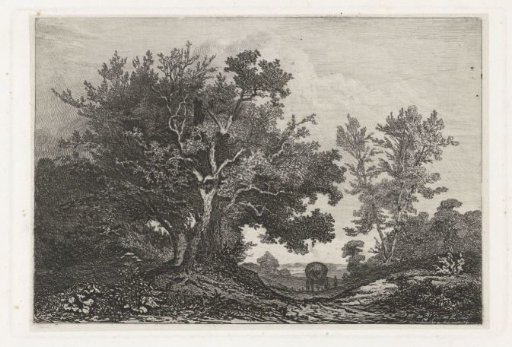 Country road between two groups of trees