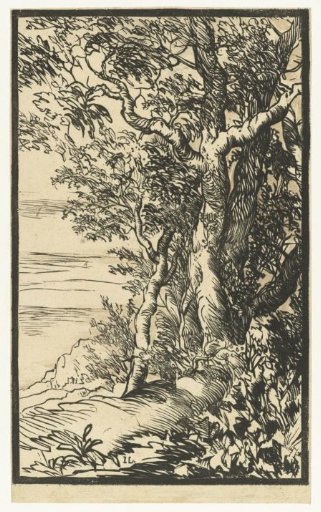 Landscape with a Group of Trees