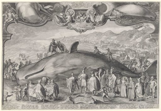 Stranded Whale at Beverwijk, 1601