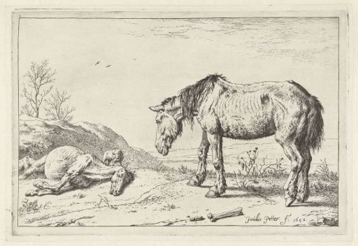 The dying horse