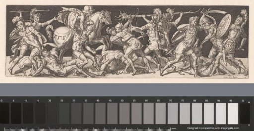 Fight Between Cavalry and Infantry