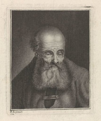 Old man with a beard