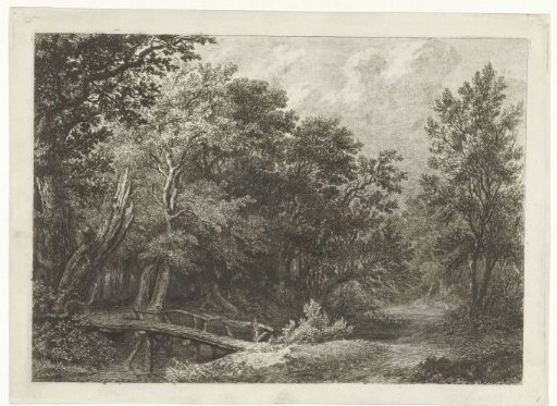 Forest view with wooden bridge