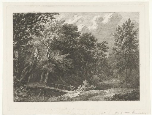 Forest view with wooden bridge
