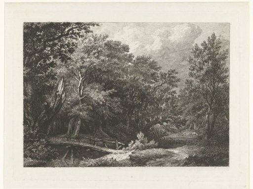 Forest view with wooden bridge