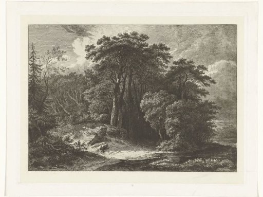 Wooded landscape with water