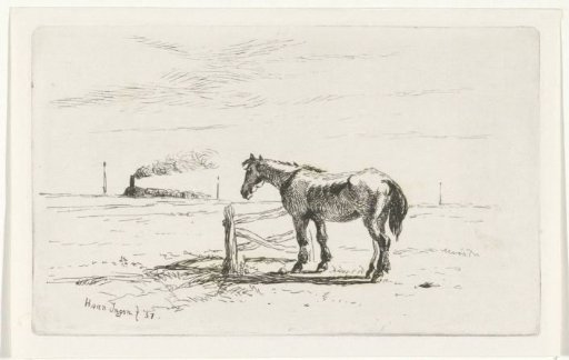 Horse in a meadow