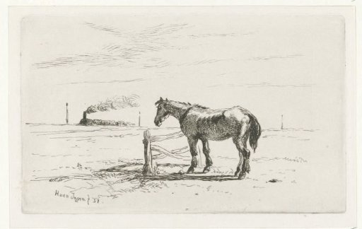 Horse in a meadow