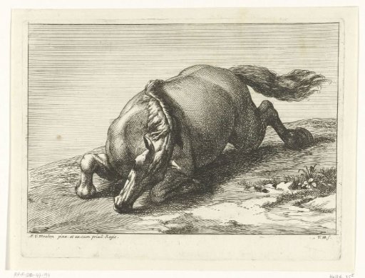 Dead horse seen from the front at an angle