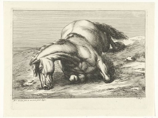 Dead horse lying on the right side