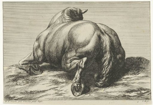 Dead horse lying on its belly seen from behind