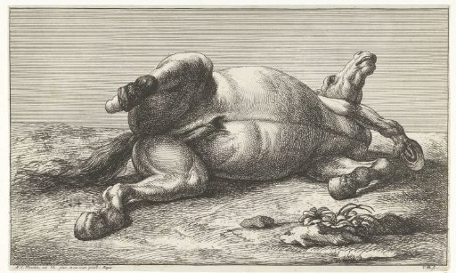 Dead horse lying on the left side