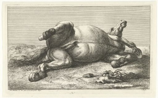 Dead horse lying on the left side