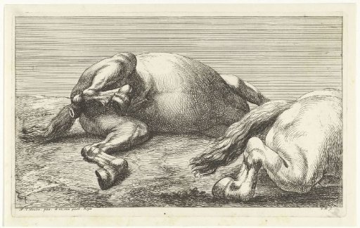 Two fallen horses, the right one seen from the side
