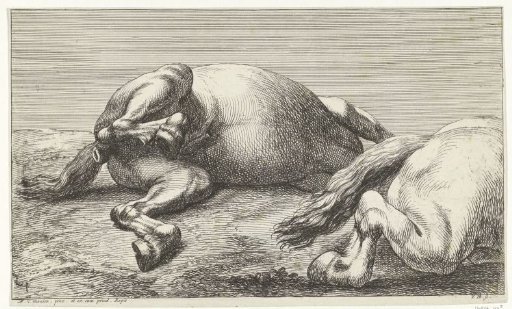 Two fallen horses, the right one seen from the side