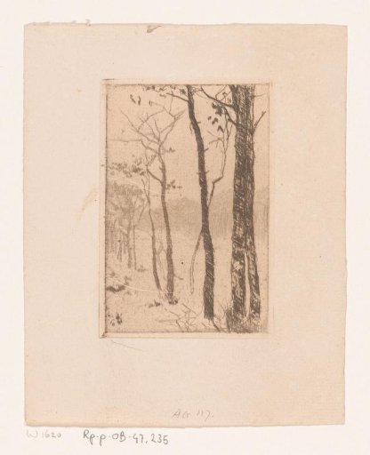 Landscape with bare trees