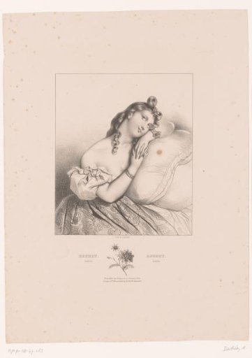 Scabiosa and regret