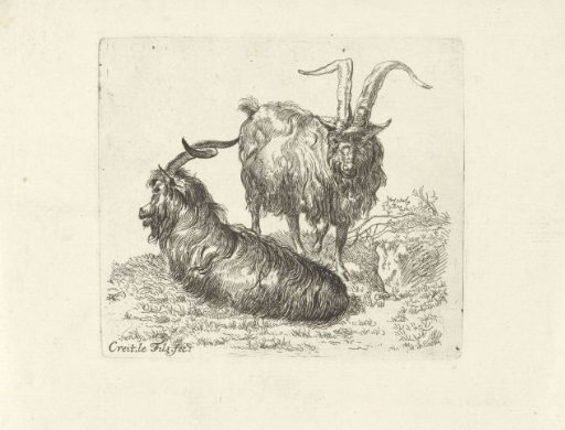 Two rams in a meadow