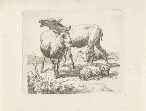 Three sheep and a lamb in a meadow