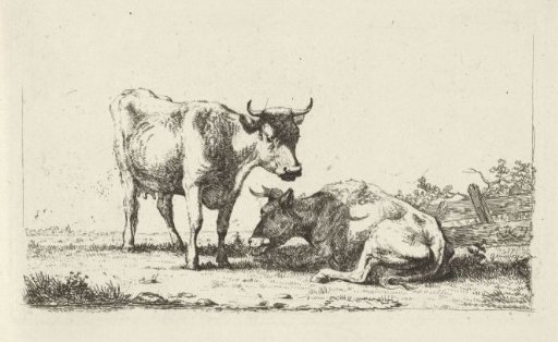 Cows in a landscape