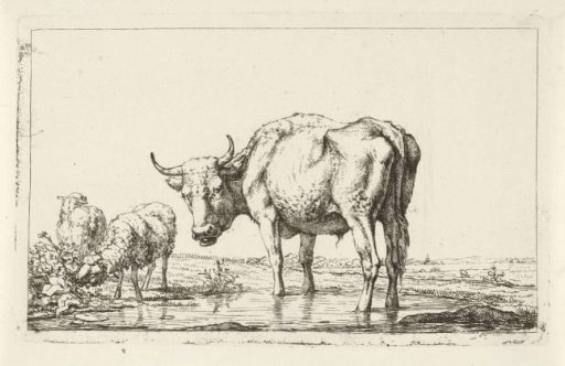 Two sheep and a bull by a pool of water