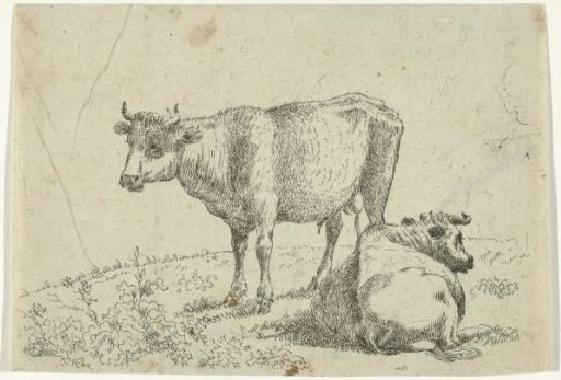 Two cows