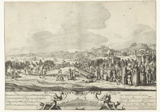 The Whale Stranded between Noordwijk and Zandvoort, 1629