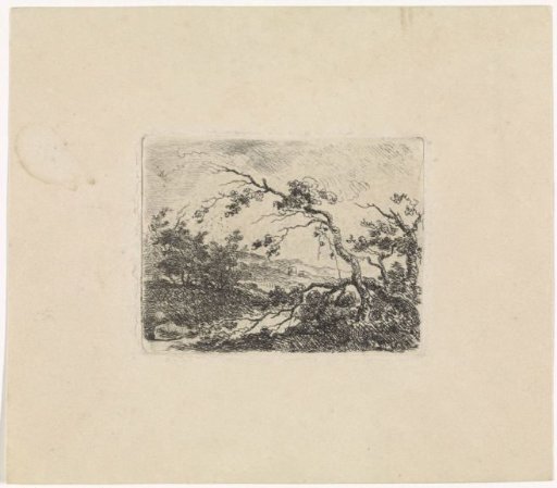 Landscape with tree branches