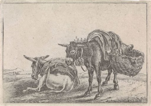 Two mules