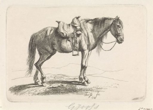 Saddled Horse