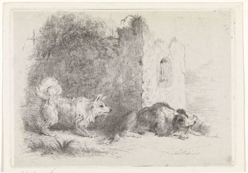 Two Dogs