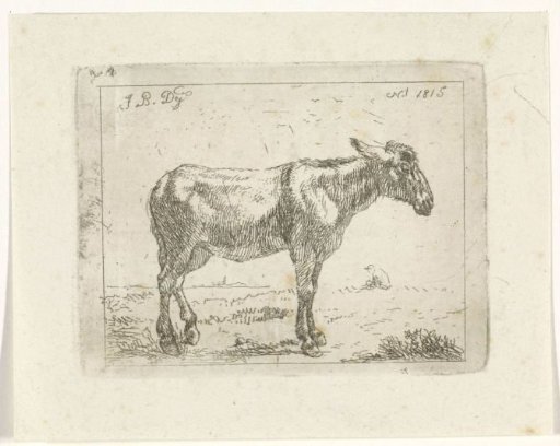 Meadow with Donkey