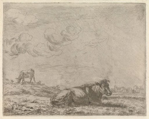 Two cows in a meadow