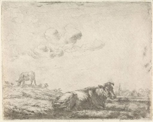 Two cows in a meadow