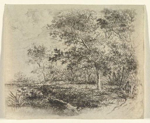 Forest landscape with lake