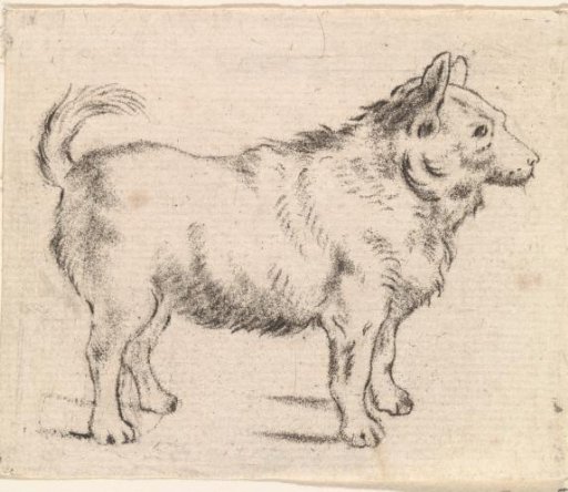 Dog to the right