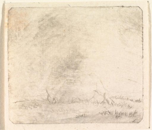 Lying cow, from the front