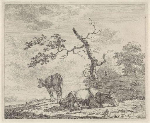 Two Cows by a Fence