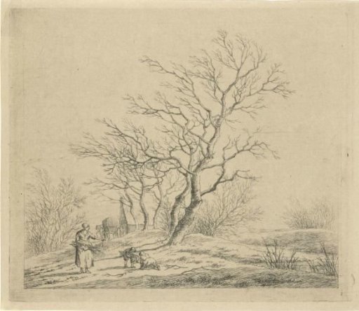 Winter landscape
