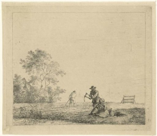 Field with farmers