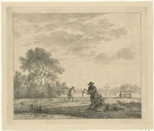 Field with farmers